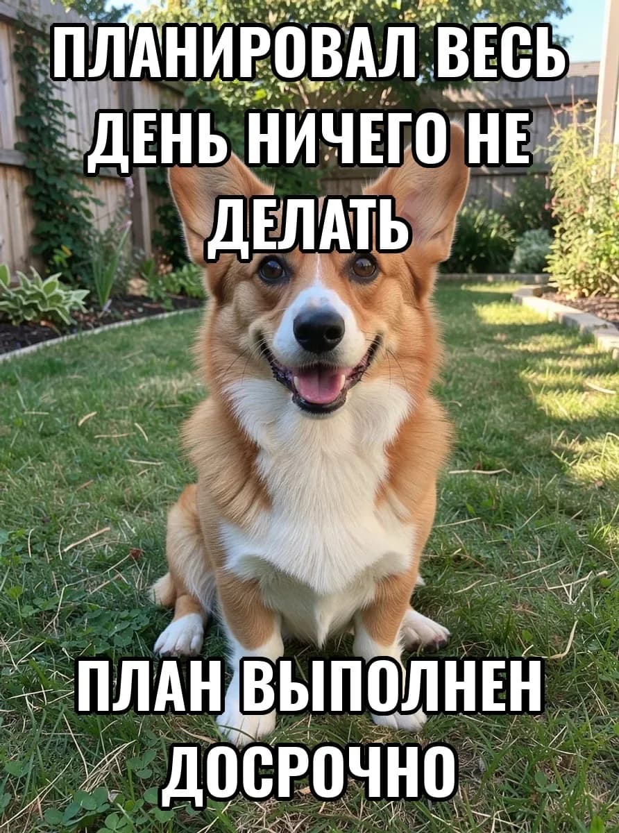 Корги на газоне с подписью «Планировал весь день ничего не делать — план выполнен досрочно»