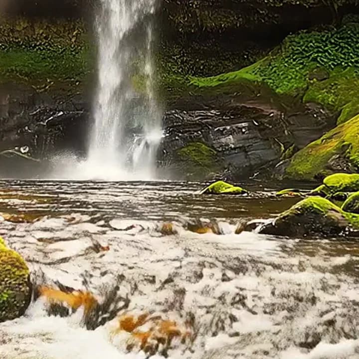 Водопад в лесу, камни во мху и бурлящая вода — фрагмент кадра из исходного ролика 1080p, видны брызги и мох